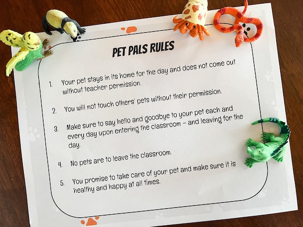 Classroom Pet Pals is wonderful for establishing responsibility and confidence.