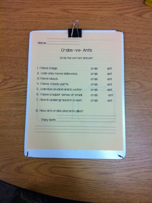 Three favorite teacher items include DIY clipboards, a do not disturb custom lanyard, and a mini nurse station to help the classroom run more smoothly.