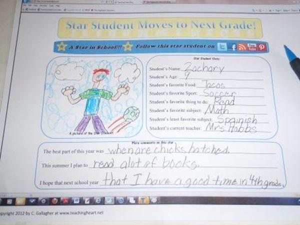 A great guest blog post that shares some super fun ideas for End of the Year Stars!