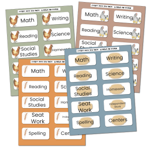 How to organize student desks and folders: Students will be able to tell quickly where their work is and be able to put it back into the proper folder.