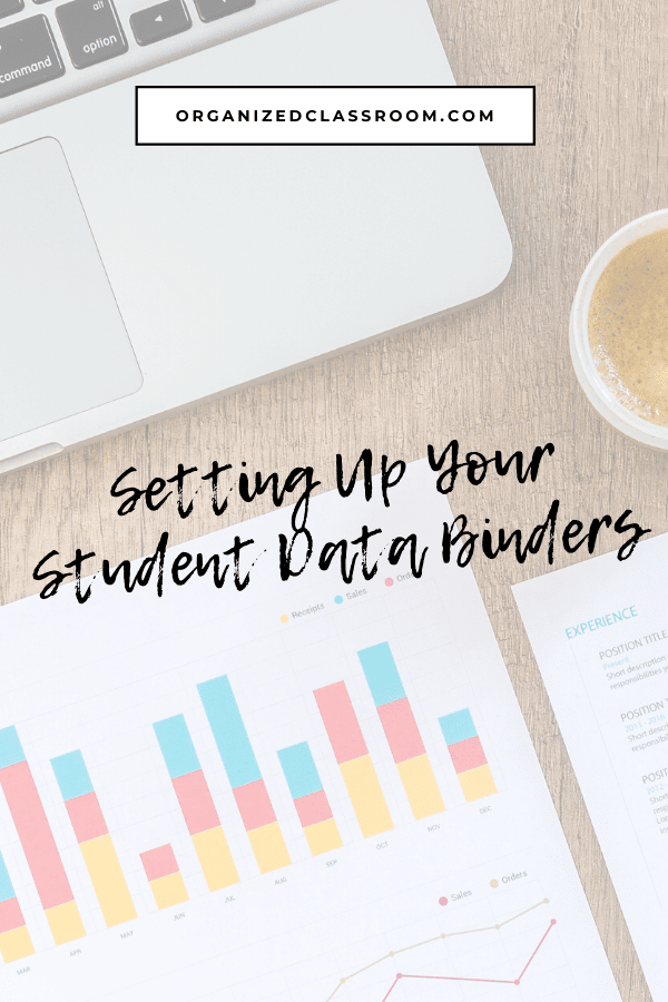 Data binders are personalized for the child and you can sit with each student to discuss what he or she excels in and what he or she could be working on.