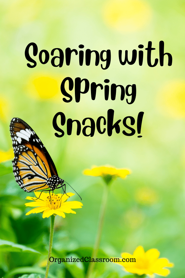 A fun idea for spring snacks for a classroom birthday or celebration! They look cute - and are on the healthier side of classroom snack options too!